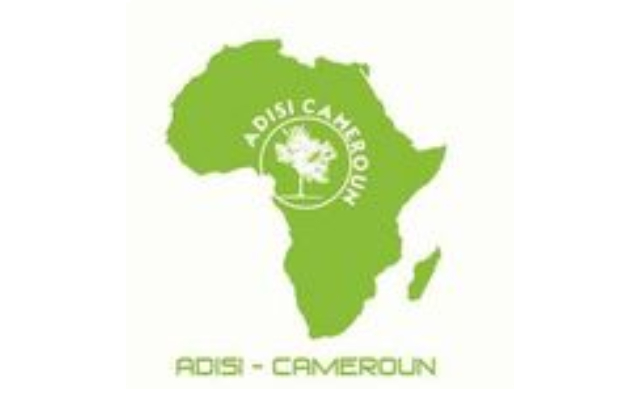 adisi cameroon